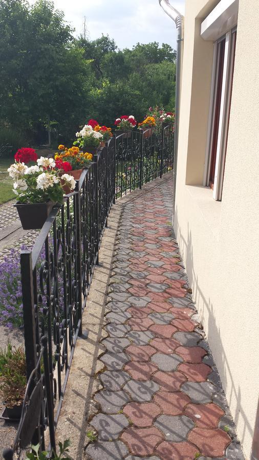 Zempleni Vendeghaz Hotel Erdőbénye Kültér fotó